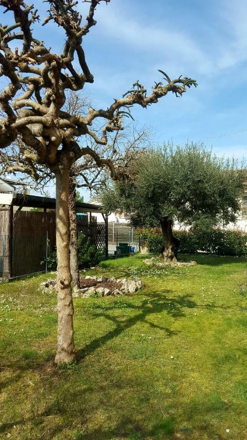 Villa Bracci Molinaccio Eksteriør billede